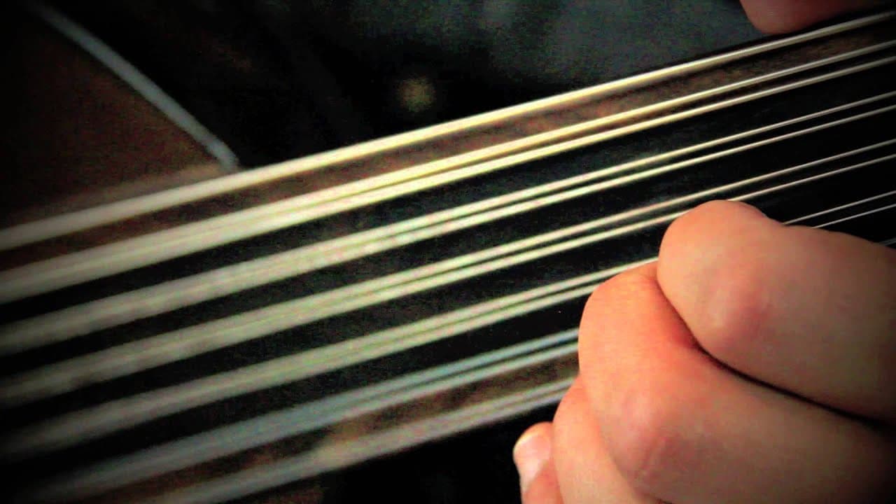 Stringed Instrument Examples